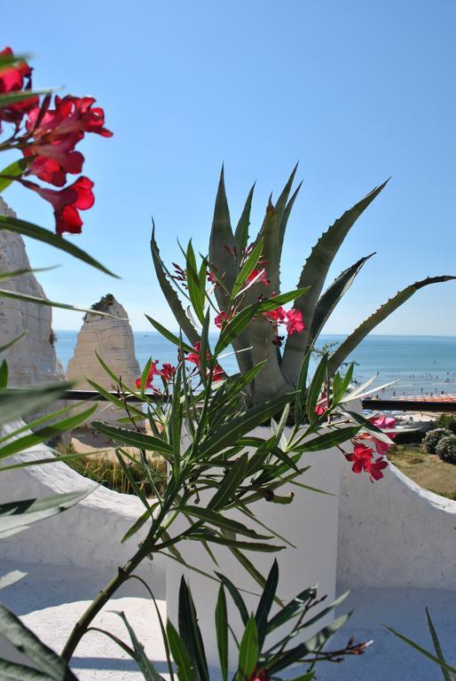 Hotel Falcone Vieste Exterior foto